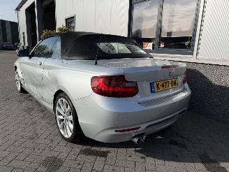 BMW 2-serie 230i Executive Cabrio picture 11