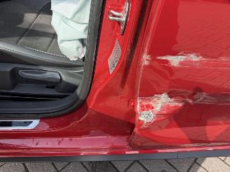 Volkswagen Polo 2.0 TSI GTI picture 42