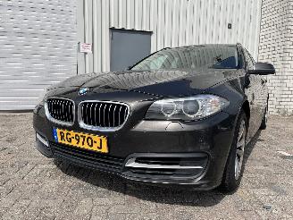 Schadeauto BMW 5-serie 5 serie Touring (F11) Combi 520d 16V (N47-D20C) [120kW]  (06-2010/02-2=
017) 2014/5
