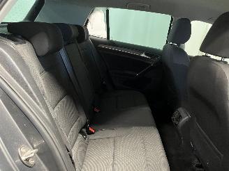 Volkswagen Golf Golf VII (AUA) Hatchback e-Golf (EAZA) [100kW]  (12-2016/01-2021) picture 16