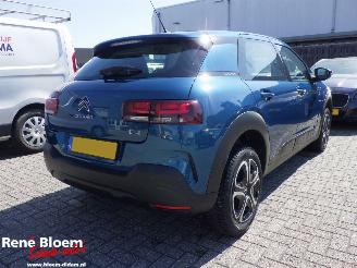 Avarii autoturisme Citroën C4 cactus 1.2 PureTech Business 110pk 2020/8