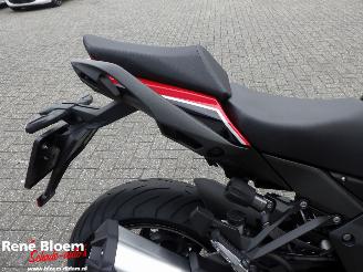 Kawasaki  Ninja 1000 SX picture 10