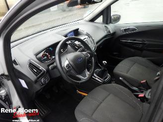 Ford B-Max 1.0 Ecoboost Titanium 101pk picture 13