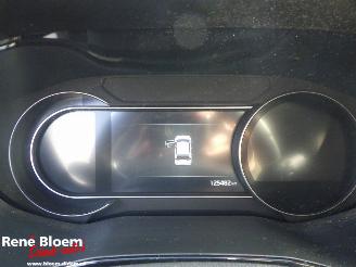 Kia e-Niro Edition 64kWh Automaat picture 18