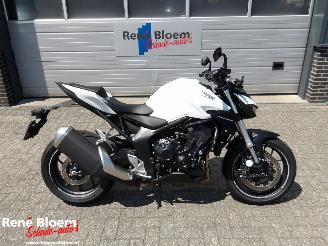 Honda CB 1000 Hornet picture 1