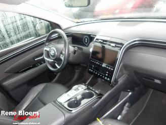 Hyundai Tucson 1.6 T-GDI PHEV Premium 4WD Aut picture 9