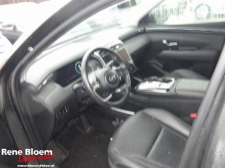 Hyundai Tucson 1.6 T-GDI PHEV Premium 4WD Aut picture 11