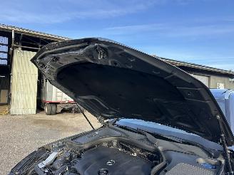 Mercedes GLC 220d 170pk 9-traps aut + f1 4Matic AMG - pano - nap - navi - camera - 20 inch - trekh - elektr klep picture 97