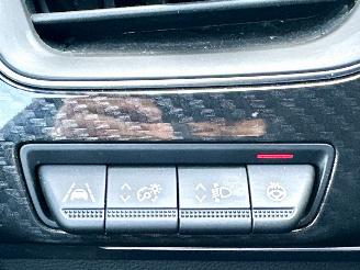 Renault Arkana 1.6 E-Tech Hybrid 145 8-traps aut RS-Line - Bose - sfeerverl - stuurverw - front + line + side assist picture 15