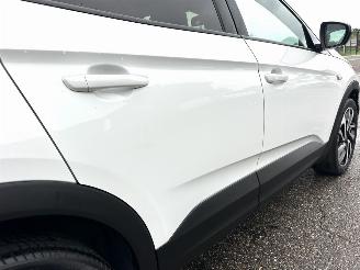 Opel Grandland X 1.2 Turbo 131pk aut Innovation - 360cam - keyless - nav - line + side assist - stoelkoeling - stuurverw - stoelverw v+a picture 98