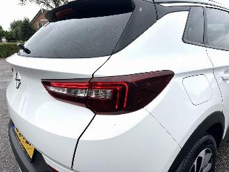 Opel Grandland X 1.2 Turbo 131pk aut Innovation - 360cam - keyless - nav - line + side assist - stoelkoeling - stuurverw - stoelverw v+a picture 95
