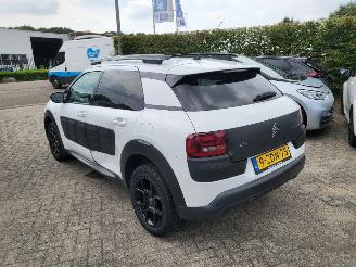 Citroën C4 cactus C4 Cactus 1.2 VTi Shine NAVI,AIRCO,CAM rijdbaar picture 4