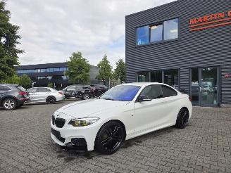  BMW 1-serie 218i COUPE /  M- PERFORMANCE 2019/10