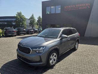 Unfallwagen Skoda Kodiaq 1.5 TSi M-HEV 110kw  AUTOM / 7 PERS / PANO 2024/11