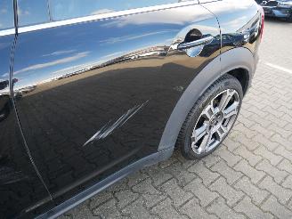 Mini Countryman COOPER COUNTRYMAN S ALL 4 NORTHWOOD PANORAMADAK LEER LED picture 9