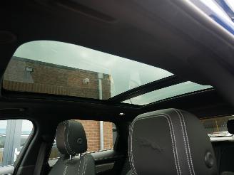 Jaguar F-Pace R-Dynamic  E 90th Anniversary Edition AWD Pano Led Leder picture 24