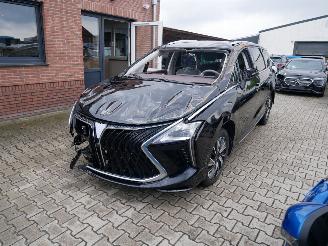 Vaurioauto  passenger cars DFSK  FORTHING 4 U-TOUR LEER LED PANORAMADAK 7 PERSOONS. 2024/5