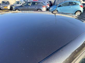 Renault Mégane 1.6 Celsium picture 21