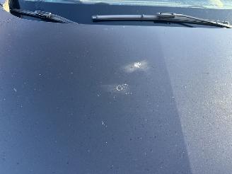 Renault Mégane 1.6 Celsium picture 15