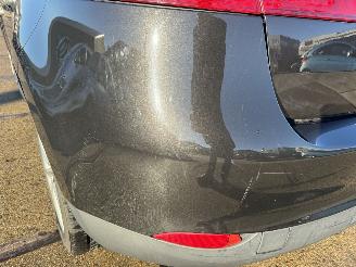 Renault Mégane 1.6 Celsium picture 25