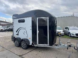 Cheval Liberte  2 paards picture 2