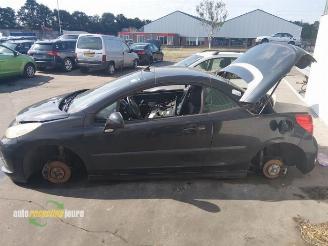 Peugeot 207 (WB) Onderdelen, Kleurcode: EXLB, Donorauto picture 4