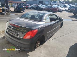 Peugeot 207 (WB) Onderdelen, Kleurcode: EXLB, Donorauto picture 7