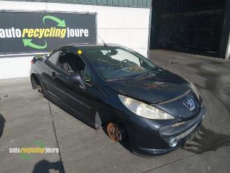 Peugeot 207 (WB) Onderdelen, Kleurcode: EXLB, Donorauto picture 9