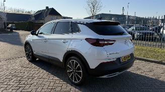 Opel Grandland X 1.6 Plug-In Hybrid picture 3