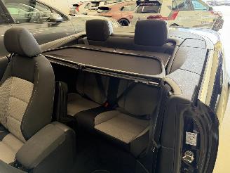 Volkswagen Eos 1.4 TSI 160pk Navi picture 18