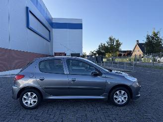 uszkodzony samochody osobowe Peugeot 206+ 1.4 XS Clima 2009/9