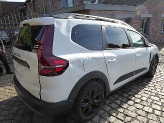 Dacia Jogger Extreme picture 8