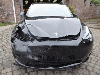 Tesla Model Y Long Range Dual AWD picture 3