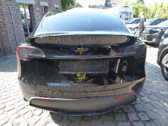Tesla Model Y  picture 5