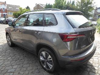 Skoda Karoq Ambition picture 7