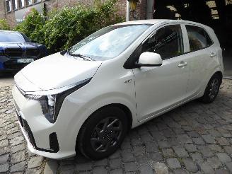 Avarii autoturisme Kia Picanto  2025/2