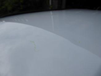 Peugeot 2008 Allure picture 9