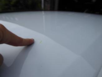 Peugeot 2008 Allure picture 8