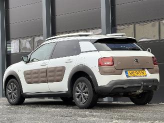 Citroën C4 cactus 1.6 BlueHDi Panorama Camera picture 5