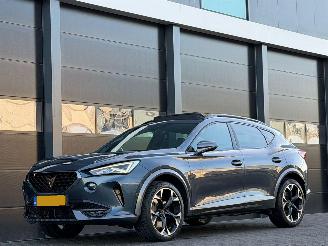 Avarii autoturisme Cupra Formentor 2.0 TSI 4DRIVE 310 PK Pano Leer 2021/1