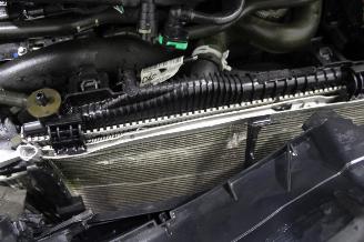 Ford Puma  picture 15