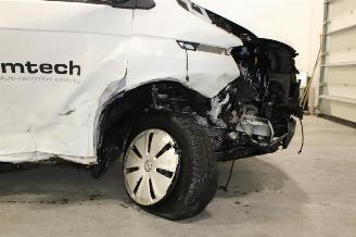 Volkswagen Transporter T6 picture 6