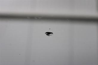 Peugeot 308  picture 24