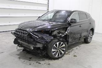 damaged passenger cars BYD Seal U  2025/9