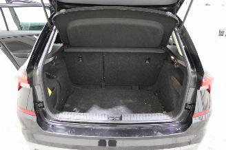 Skoda Kamiq  picture 19