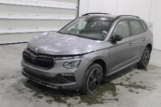 Skoda Kamiq  picture 1