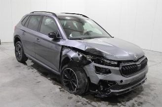 Skoda Kamiq  picture 2