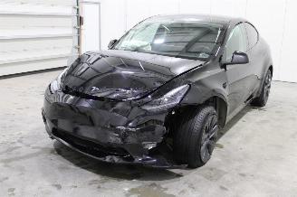Avarii autoturisme Tesla Model Y  2025/1