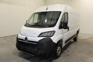 damaged passenger cars Opel Movano  2025/10