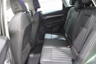 Skoda Karoq  picture 12